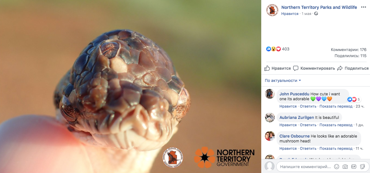 Facebook Northern Territory Parks and Wildlife